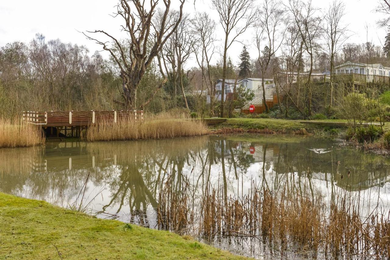 A Woodland Wonder - Redwood Lodge Hastings Exterior foto